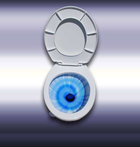 Full Flush, Just Like Home!