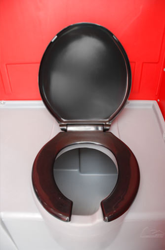 Comfortable Toilet Seat!