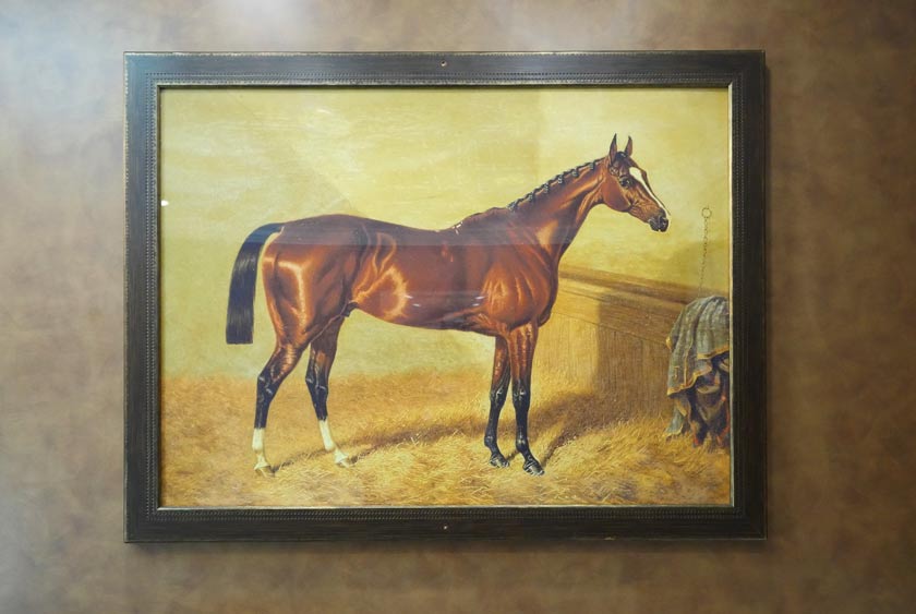 EQUESTRIAN THEMED FRAMED ARTWORK
